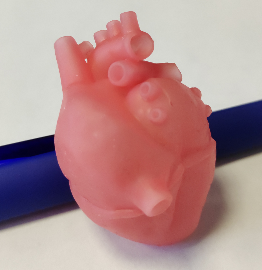 Лекция "3D-печать органов: миф или реальность?"
