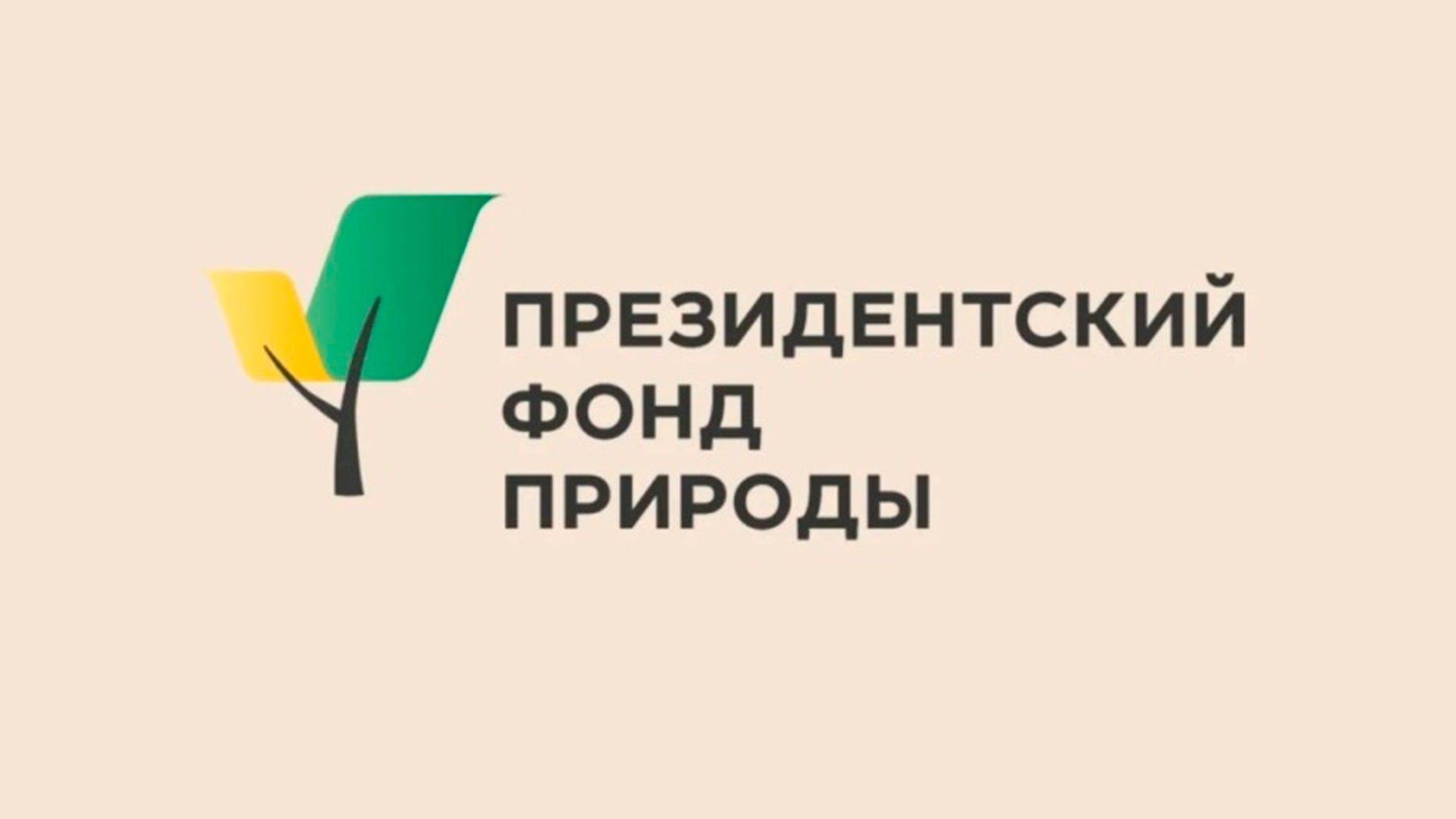 «Заповедная стипендия» для студентов, которые берегут природу