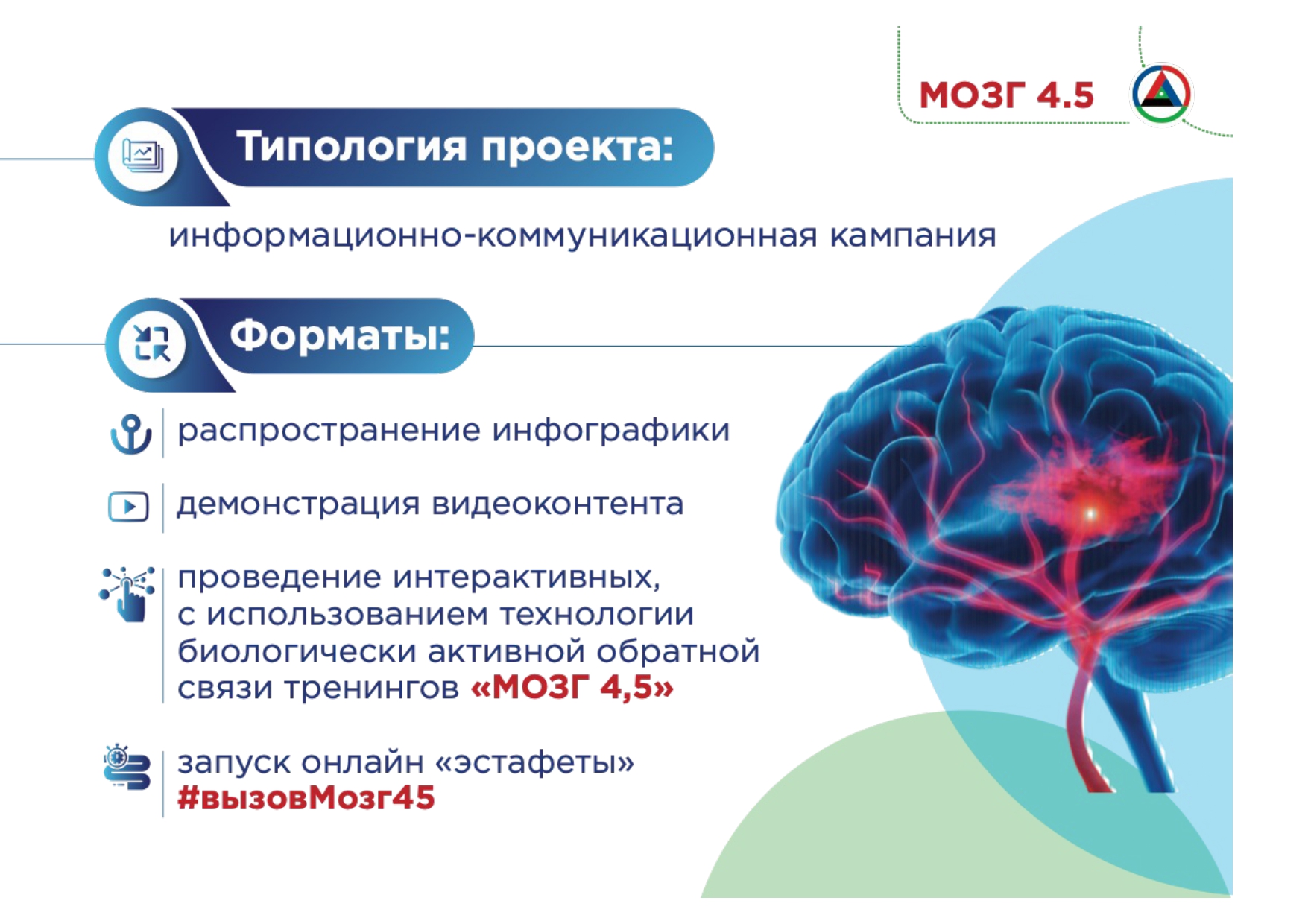 Факты про мозг. Проект мозг. Проект мозг 4.5. Запусти мозг проект. Работа могзадля проекта.