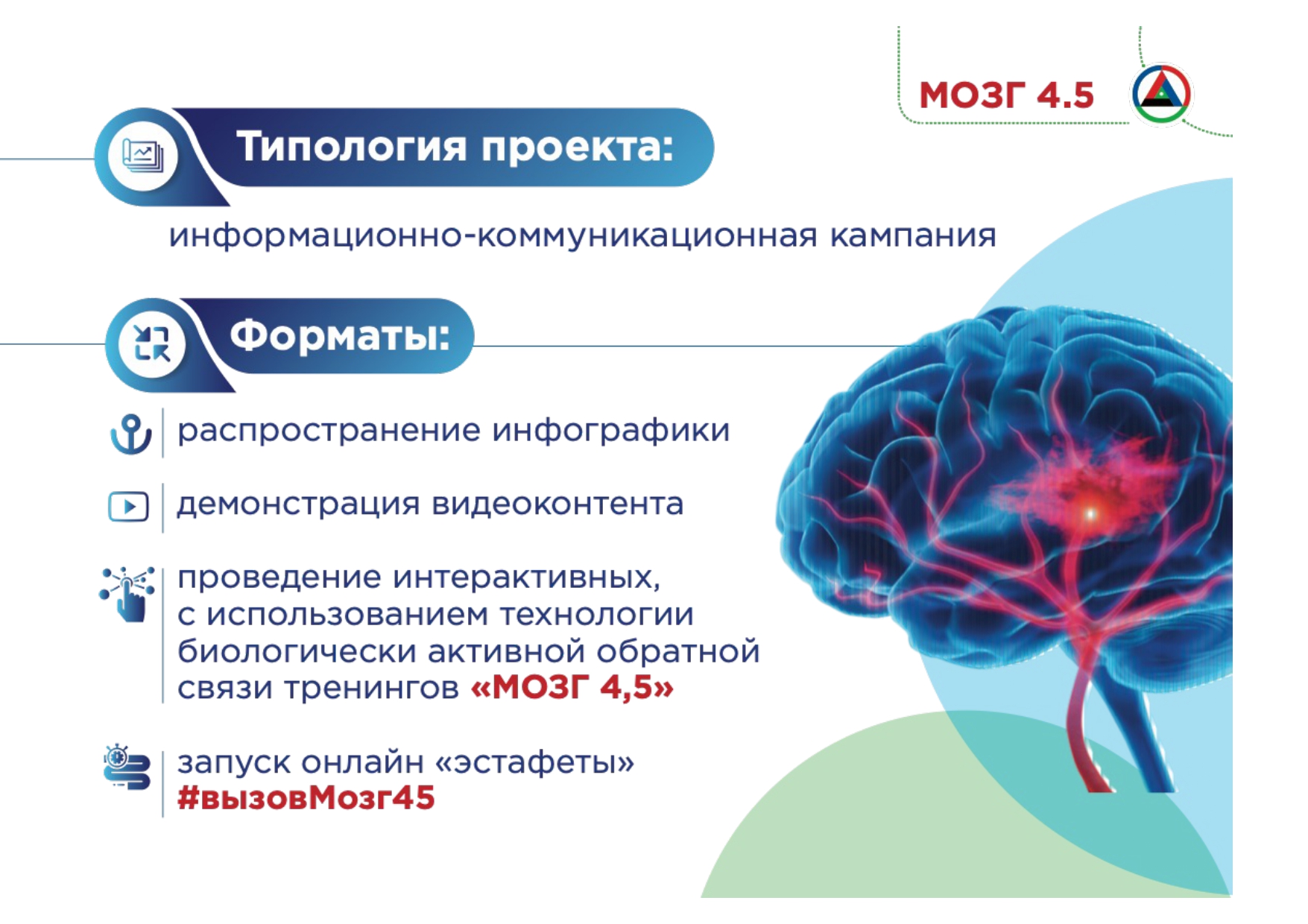 Факты про мозг